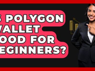 Is Polygon Wallet Good For Beginners? - CryptoBasics360.com