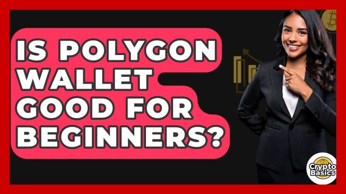 Is Polygon Wallet Good For Beginners? - CryptoBasics360.com