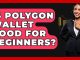 Is Polygon Wallet Good For Beginners? - CryptoBasics360.com