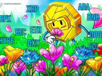 Bitcoin Liquidations Hit 1-Year Record, Altcoins Follow