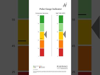 Pulse Gauge: Consumer Services