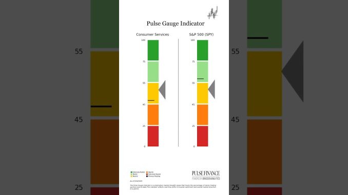 Pulse Gauge: Consumer Services