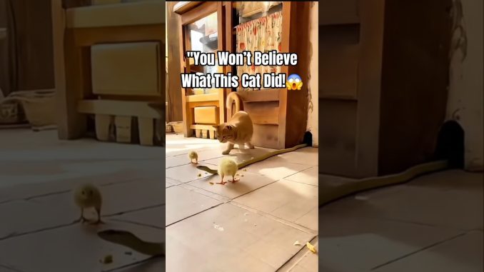 Cat Gently Guides Baby Chick to Safety | Heartwarming Animal Moment #ai