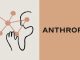 Anthropic and Salesforce Enhance AI Collaboration for Regulated Industries