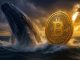 Bitcoin whale bets $2B on market bounce as smart money accumulates
