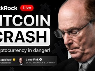BlackRock CEO WARNS Crypto Investors — Bitcoin in Danger?