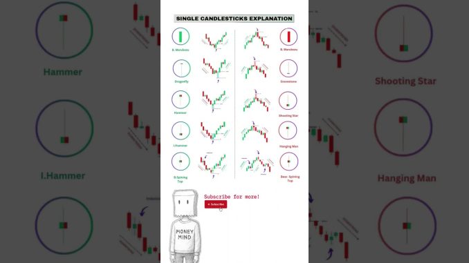 Single candlestick patterns explanation for beginners #trading #learn #rich #finance #charts #crypto