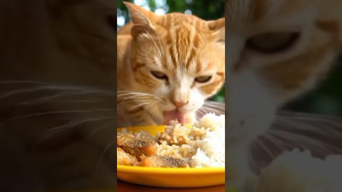 🥰 makanan kucing untuk sarapan‼️ #ai #cat #fypシ #news #funny #pets #cute #animals