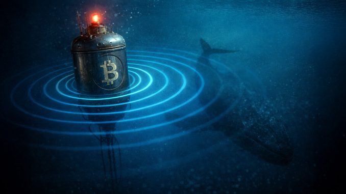 Bitfinex whale buy signals Bitcoin price battleground at $90,000